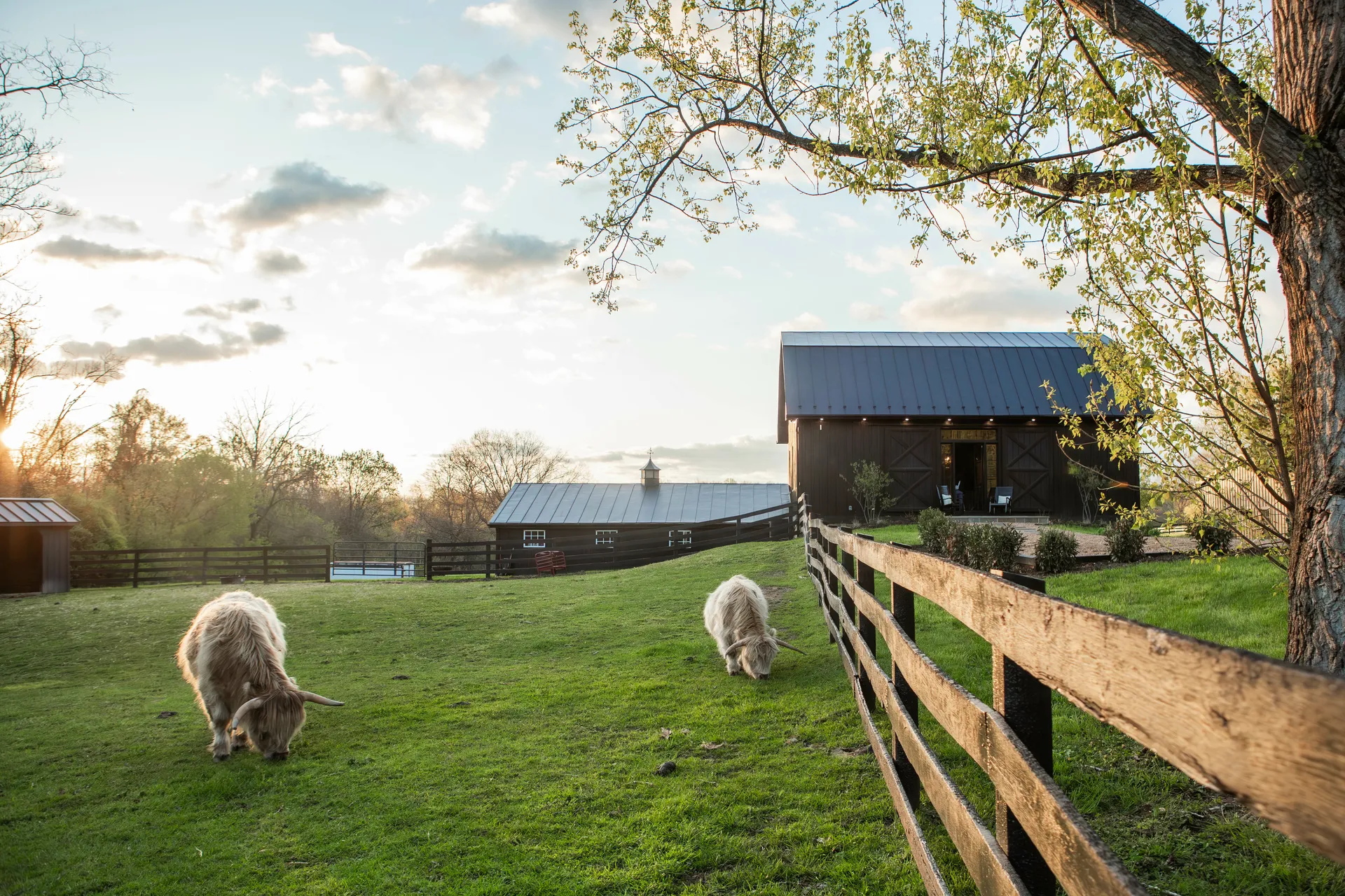 Historic Home Restoration Company VeritasContracting FourLuckyDucksFarm 72