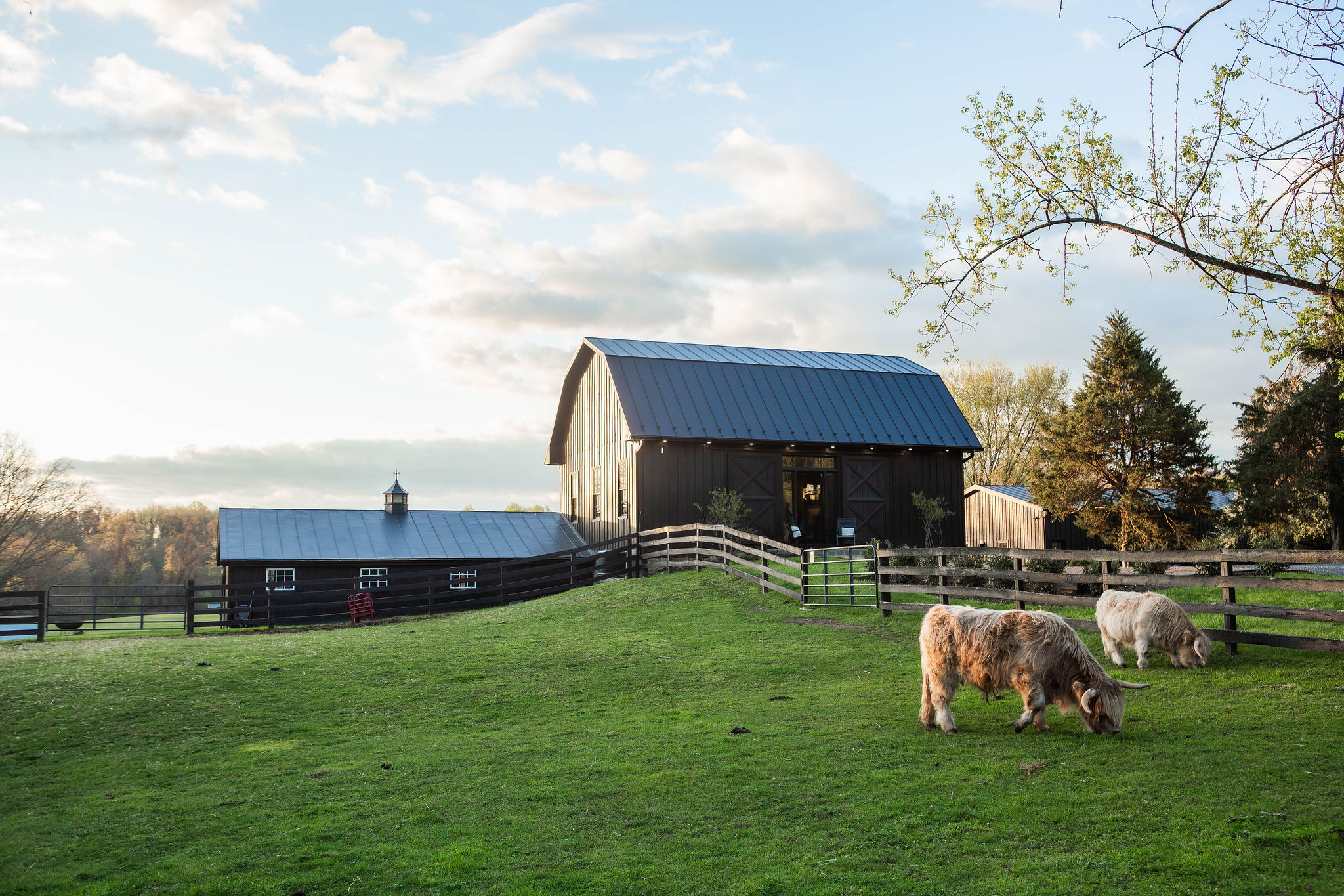 Historic Home Restoration Company Four Lucky Ducks Farm Middleburg Veritas Contracting 27
